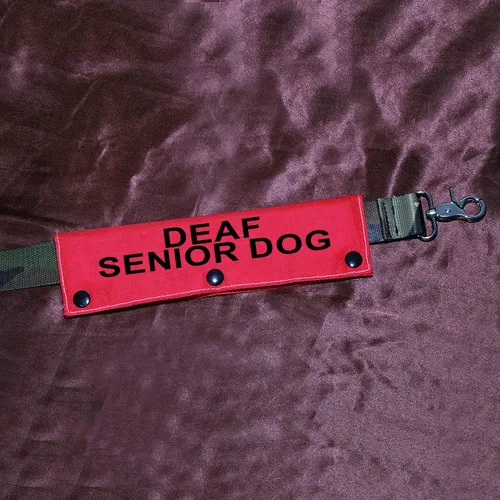 Vista 3 de Correa para perro con discapacidad auditiva para perros sordos mayores para perros con necesidades especiales (funda para perro sordo mayor)