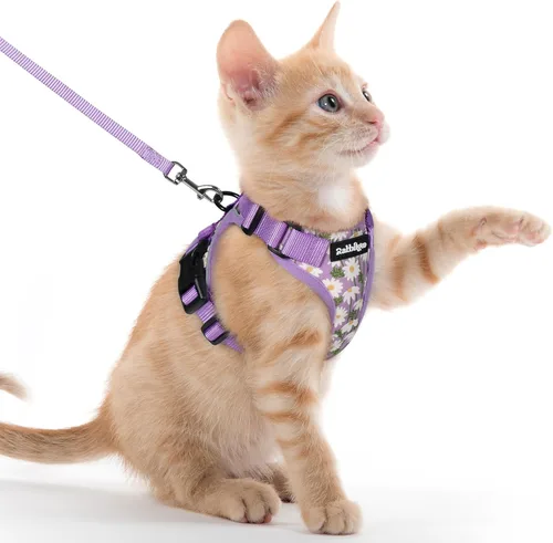 Vista 88 de rabbitgoo Cat Harness and Leash Set, Escape Proof Vest, XXS, Berry Pounce Soft Breathable Mesh, No-choke Adjustable Fit, Snap Buckles, Sturdy