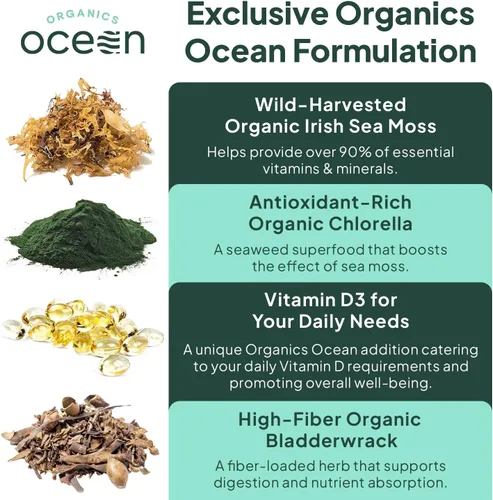 Vista 5 de Cápsulas de musgo marino salvaje orgánico de Organics Ocean - Musgo marino irlandés 100% orgánico con clorella orgánica, fucus y vitamina D