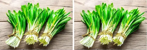 Vista 7 de Wild Garlic Ramsons Buckrams Wild Onion 40 semillas sin OMG para plantar