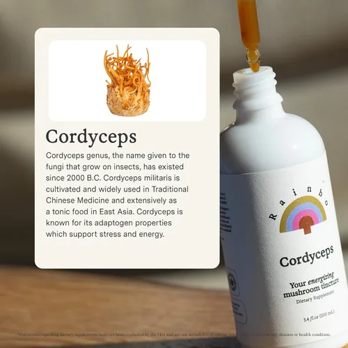 Vista 3 de Rainbo - Tintura de hongos Cordyceps - Suplemento de hongo de extracto dual - Apoyo inmunológico, energía, suplemento Cordyceps líquido, vegano, sin