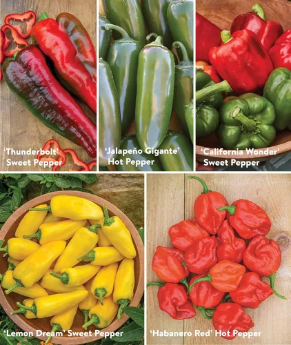 Vista 5 de Colección Burpee Best 10 Paquetes de Mezcla Fresca Sin OGM de Pimiento Picante y Variedades Dulces Jalapeño, Semillas de Pimiento Morrón y Más
