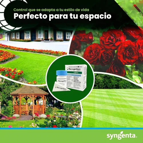 Vista 7 de Syngenta Herbicida de reconocimiento. (0.45 onzas) Asesino de malezas dispersable en agua – Control de malezas post-emergencia para césped, parada