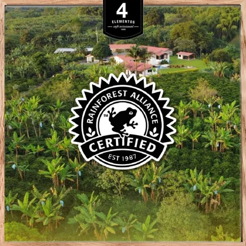 Vista 8 de 4 Elementos Café integral clásico de 12 onzas, tostado medio oscuro, 100% arábica de Colombia, sabor audaz y rico