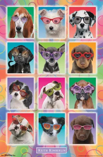 Vista 18 de Trends International Keith Kimberlin - Póster de pared con diseño de cachorros, gafas de sol, 14.725 x 22.375 pulgadas, versión enmarcada de madera
