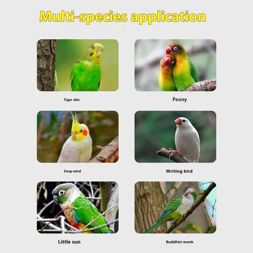 Vista 5 de Correa para pájaros al aire libre para loros, cuerda de entrenamiento de 9.8 ft de largo, ajustable, correa de pájaro para mascotas con anillos