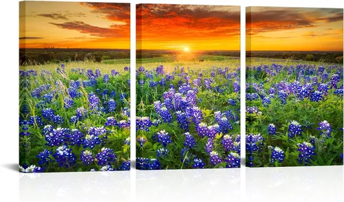 Vista 7 de Nachic Wall Cuadro de 3 piezas de puesta de sol para pared, hermoso campo de arándanos de Texas, pintura fotográfica sobre lienzo, póster de paisaje
