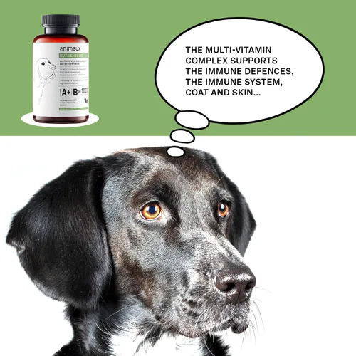 Vista 5 de animaux Nutrientes 365 para perros, vitaminas totalmente naturales, sistema inmunológico saludable, vitalidad, piel sana, pelaje brillante
