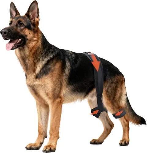 Vista 7 de Soporte de cadera para perro para displasia de cadera, soporte ajustable de cadera para perro con compresión específica, estabiliza