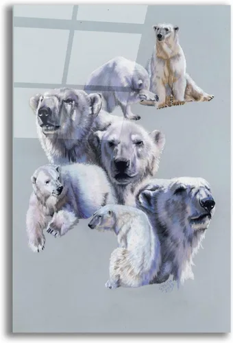 Vista 10 de Epic Art 'Arctic King' de Barbara Keith, arte de pared de vidrio acrílico, 12 x 16 pulgadas