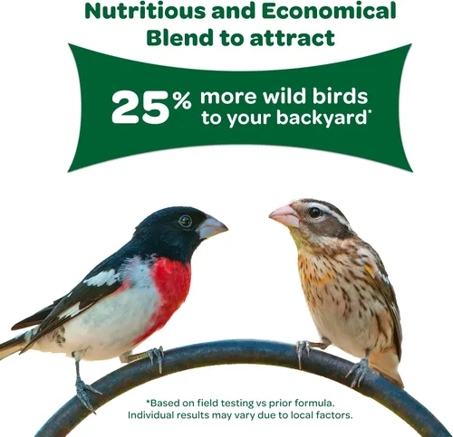 Vista 4 de Kaytee Wild Bird Food Basic Seed Blend, 5 lb