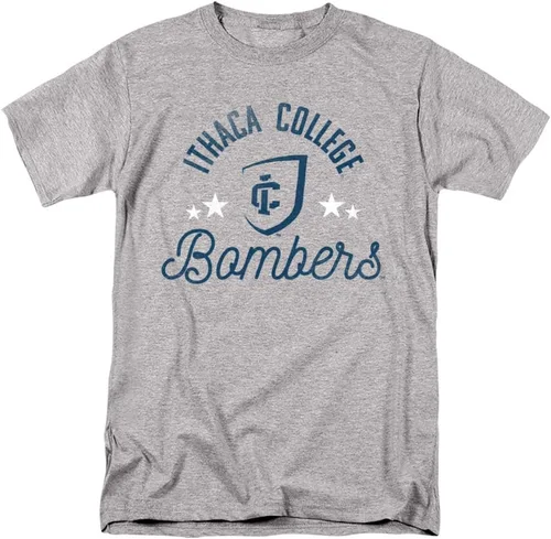 Vista 102 de Collegiate Distressed Mascot Unisex Adult T Shirt Collection 3 Universidad de Adelphi