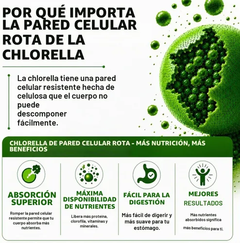 Vista 4 de Chlorella Cápsulas 3000 mg – Pared celular agrietada suplemento de algas verdes azules – La mejor limpieza natural de desintoxicación – Vitaminas