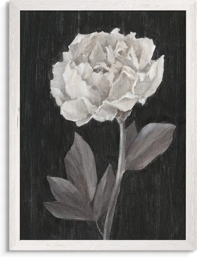 Vista 34 de Renditions Gallery- Lienzo enmarcado con flores blancas y negras Flores blancas y negras 1 juego/marco negro