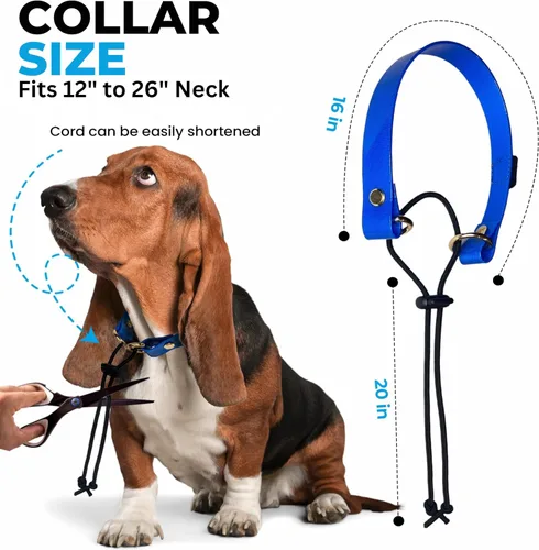 Vista 4 de eCollar Correa de repuesto estilo bungee – Collar de poliuretano impermeable compatible con Garmin, Dogtra, SportDOG, Educator