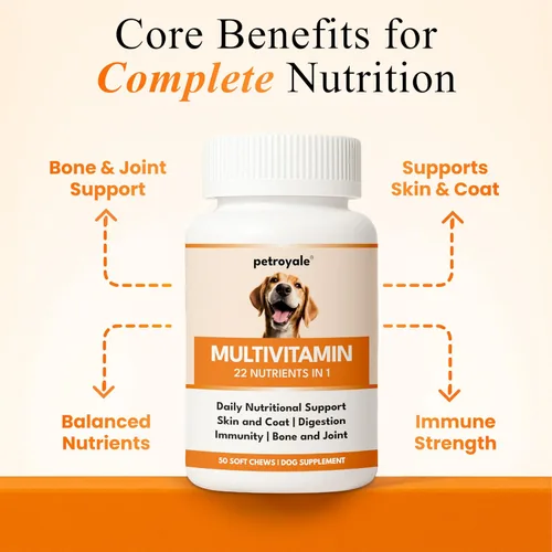 Vista 3 de Masticables multivitamínicos para perros – Apoyo articular + enzimas digestivas y probióticos – Multivitaminas masticables para perros – Vitaminas