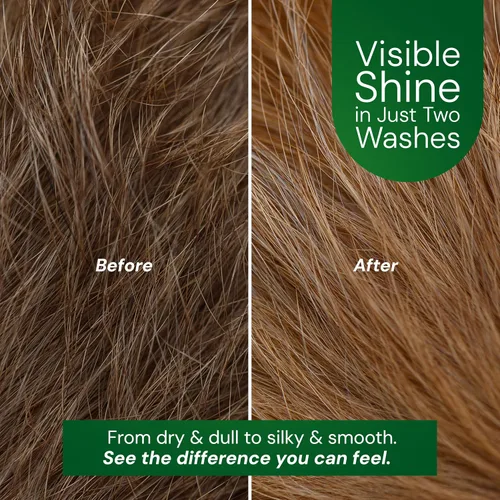 Vista 4 de Champú y acondicionador 2 en 1 para perros, extracto de caviar, aloe y bergamota para pieles sensibles, brillo profundo + desenredante, lavado