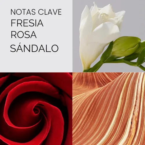 Vista 5 de Elizabeth Arden Red Door, perfume para mujer, Eau de Parfum en espray de 1.7 onzas líquidas