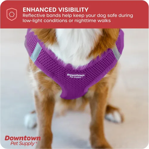 Vista 242 de Downtown Pet Supply Arnés para perro Step-in – Sin tirones, malla acolchada ajustable con ribete reflectante, correa de hebilla segura – Arnés