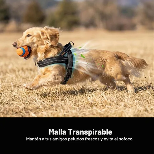 Vista 2 de Didog Arnés sin tirones para perros pequeños, acolchado de malla Negro
