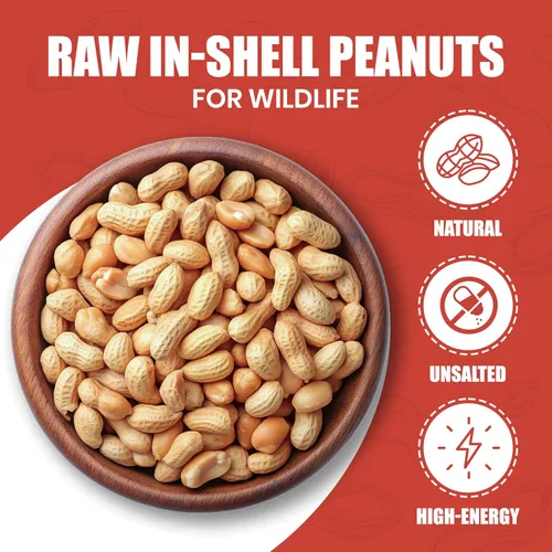 Vista 3 de We Got Nuts Raw in-Shell Peanuts, USA Grown, Unsalted, 5 LBs (80oz) - Natural Whole Peanuts for Birds, Squirrels & Backyard Wildlife and Humans