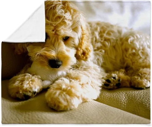 Vista 4 de CafePress The Cockapoo - Manta de felpa de forro polar súper suave, 60 x 50 pulgadas