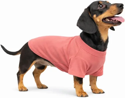 Vista 82 de Lovelonglong 2019 - Ropa para mascotas, Disfraces para Perro, Ropa Camisetas en blanco para Perros Grande Medianos Pequeños 100% Algodón 18