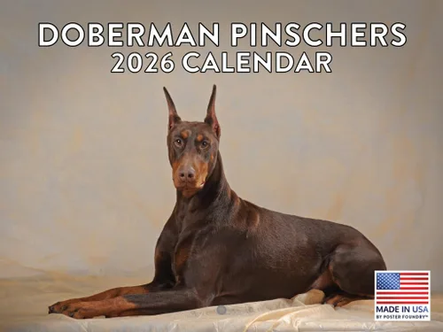Vista 21 de Calendario mensual de pared Airedale Terrier Dog 2027 rojo (Airedale Terrier)
