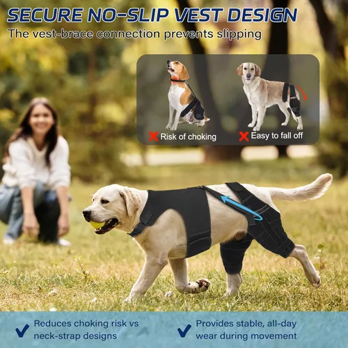 Vista 3 de Dog Knee Brace with Metal Stabilizers for Torn ACL Hind Leg, XS