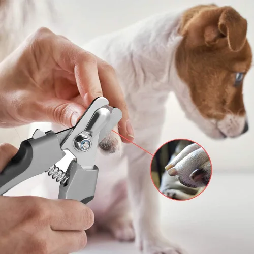 Vista 4 de Tpotato Cortaúñas para perro, cortaúñas para perro, de raza grande con sensor rápido, cortaúñas profesional para gatos Safari con protección