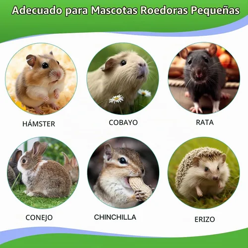 Vista 6 de WDEFUN 21 juguetes masticables de conejo para rechinar dientes, pasteles de heno Timothy naturales para conejito, palitos de madera de manzana