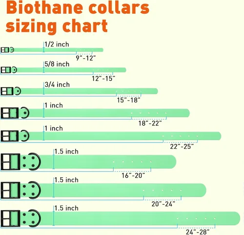 Vista 169 de Dogline Biothane - Collar impermeable para perro con hebilla de liberación rápida, resistente cincha de nailon recubierta con resistente y a prueba