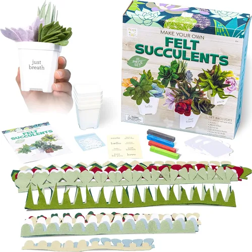 Vista 4 de Hapinest Kit de manualidades de suculentas de fieltro en maceta para adultos, mujeres, adolescentes y personas mayores, artes y manualidades