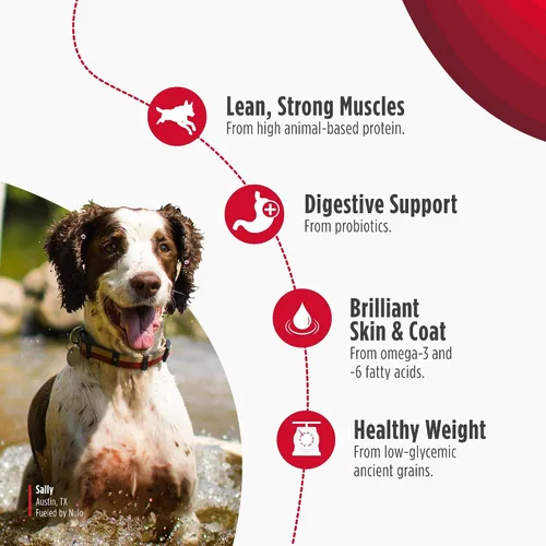 Vista 3 de Nulo Frontrunner Ancient Grains - Alimento para perros con alto contenido de proteínas, receta de cerdo, cebada y carne de res - Alimento seco