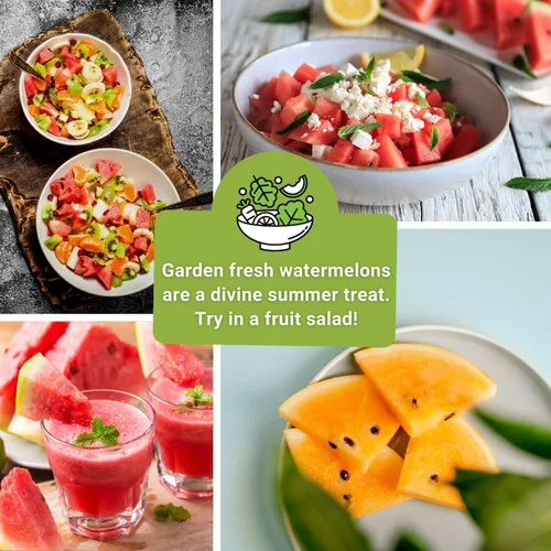 Vista 5 de Sow Right Seeds - Colección de semillas de frutas de sandía para plantar - Melones carmesí dulce, dulce dulce, dulce de azúcar, tierno y orangeglo