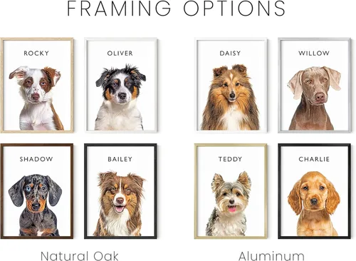 Vista 3 de HAUS AND HUES - Crea tu propio arte de pared enmarcado con retrato de mascota - Arte de pared de perros y decoración de pared de arte de gatos