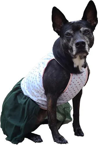 Vista 5 de Midlee Vestido para perro grande con tutú rosa rosa (XXL)