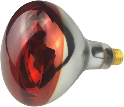 Vista 3 de Bombilla de calor R40 de 250 W, paquete de 2 bombillas de vidrio infrarrojo pintado para servicio de alimentos, bombilla de criador, pollitos