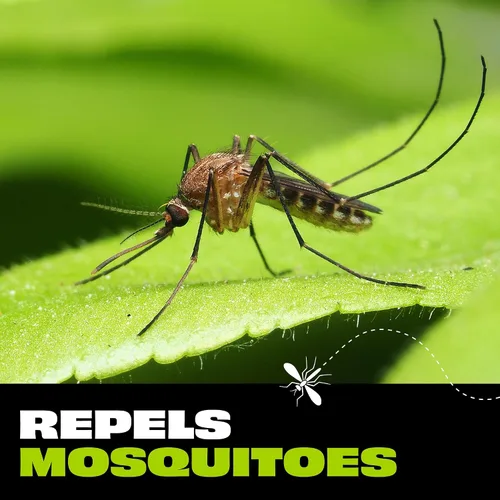Vista 2 de STEM Spray repelente de mosquitos y garrapatas, protección de picaridina sin fragancia, 4 onzas