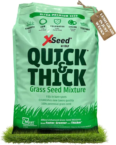 Vista 8 de Mezcla de semillas de césped X-Seed Ultra Premium, rápido y grueso, North