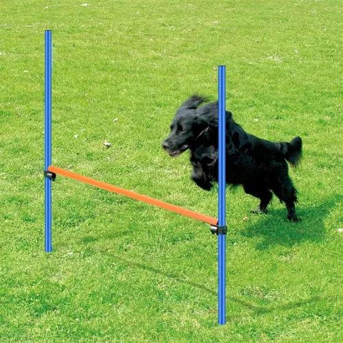 Vista 4 de PAWISE Equipo de entrenamiento de agilidad para perros, juego de obstáculos de entrenamiento de mascotas y bastones de tejido con barra de salto