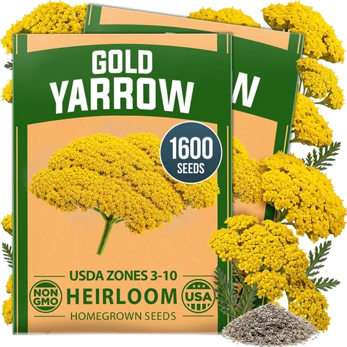 Vista 18 de HOME GROWN Semillas de Hollyhock de doble mezcla de Chater, 200 semillas