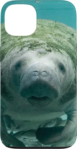 Vista 7 de Manatee Case for iPhone 17