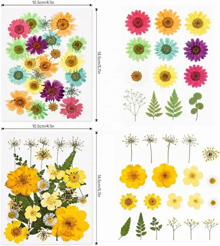 Vista 3 de 80 piezas de flores prensadas para resina con pinzas curvadas 80 piezas multicolor surtidas