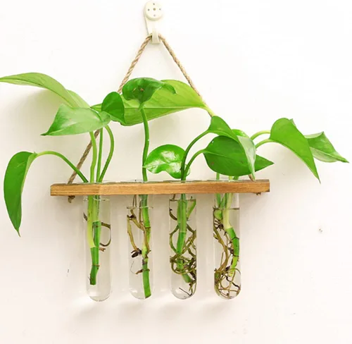 Vista 4 de Maceta colgante de pared terrario con soporte de madera, mini tubo de ensayo, floreros de flores retro colgantes de vidrio propagador para plantas