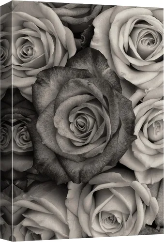 Vista 29 de wall26 Lienzo impreso para pared, diseño de rosa del desierto, suculentas, naturaleza, desierto, fotografía, realismo, floral, botánico, suroeste