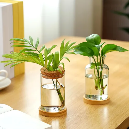 Vista 2 de Layhit 4 piezas de estaciones de propagación de plantas, jarrones de vidrio con tapa de madera y soporte de bambú para plantas hidropónicas, regalos