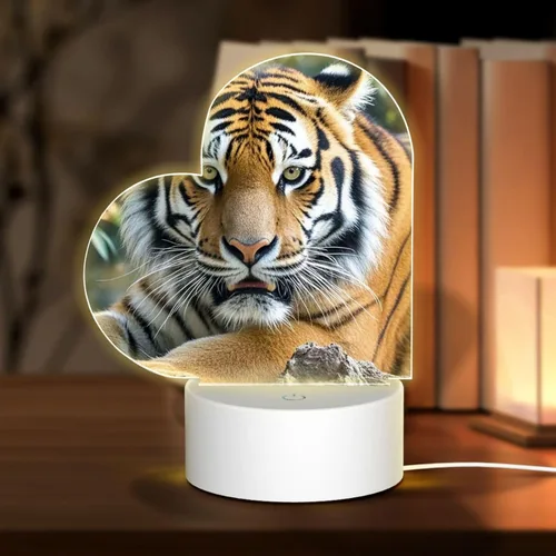 Vista 15 de 3D Night Light LED Light Lamp Base Personalized Gifts Acrylic Night Light Color Fusion Night Light Acrylic Plaque USB 3 Colors Change Smart Touch