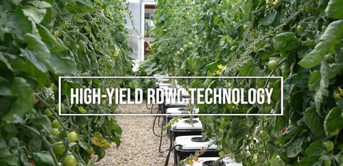 Vista 2 de Hydramax Home Bucket - Sistema hidropónico de cultivo de aguas profundas con bomba y circuladores de aire para cultivo en interiores de verduras