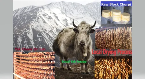 Vista 4 de Snow Hill Natural Himalayan 14-15 piezas masticables para perros pequeños de larga duración, sin gluten, sin OMG, rico en proteínas para mejorar